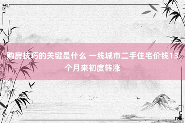 购房技巧的关键是什么 一线城市二手住宅价钱13个月来初度转涨