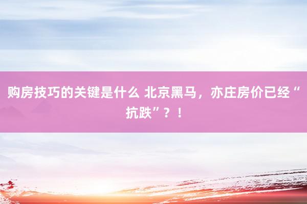 购房技巧的关键是什么 北京黑马，亦庄房价已经“抗跌”？！