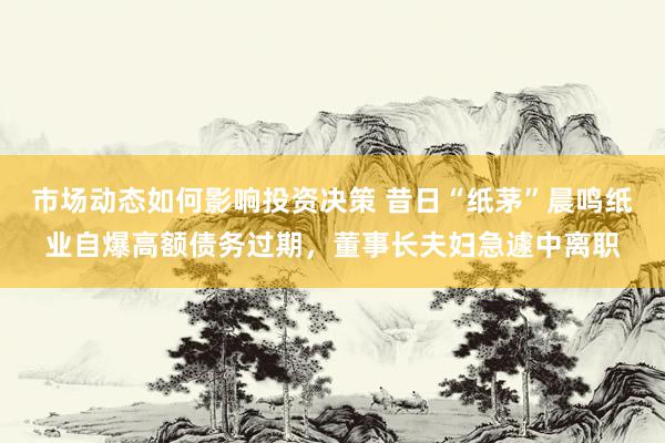 市场动态如何影响投资决策 昔日“纸茅”晨鸣纸业自爆高额债务过期，董事长夫妇急遽中离职