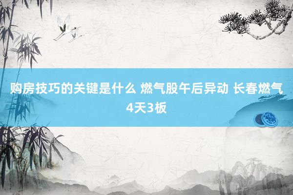 购房技巧的关键是什么 燃气股午后异动 长春燃气4天3板