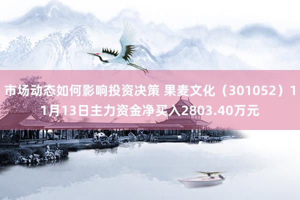 市场动态如何影响投资决策 果麦文化（301052）11月13日主力资金净买入2803.40万元