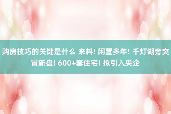 购房技巧的关键是什么 来料! 闲置多年! 千灯湖旁突冒新盘! 600+套住宅! 拟引入央企