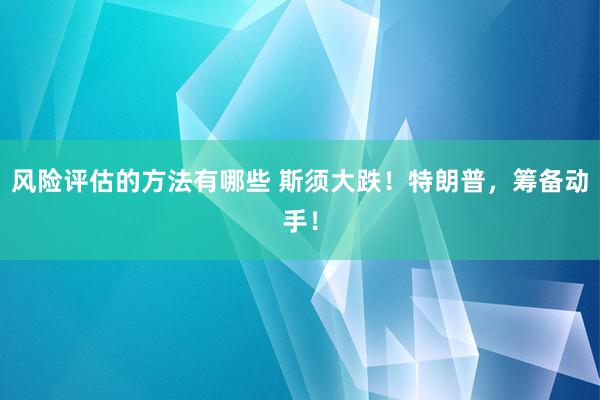 风险评估的方法有哪些 斯须大跌！特朗普，筹备动手！