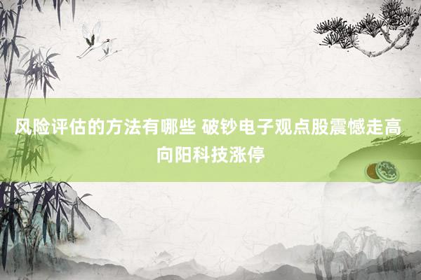 风险评估的方法有哪些 破钞电子观点股震憾走高 向阳科技涨停