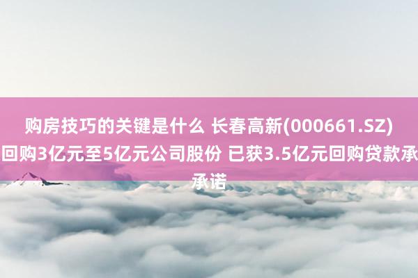 购房技巧的关键是什么 长春高新(000661.SZ)拟回购3亿元至5亿元公司股份 已获3.5亿元回购贷款承诺