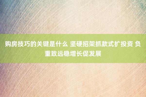 购房技巧的关键是什么 坚硬招架抓款式扩投资 负重致远稳增长促发展