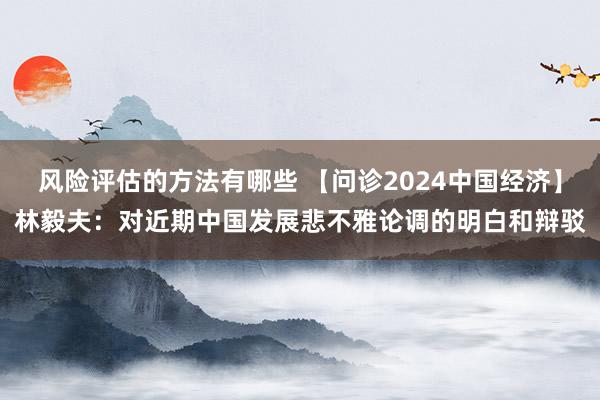 风险评估的方法有哪些 【问诊2024中国经济】林毅夫：对近期中国发展悲不雅论调的明白和辩驳