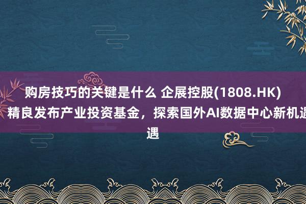 购房技巧的关键是什么 企展控股(1808.HK)：精良发布产业投资基金，探索国外AI数据中心新机遇