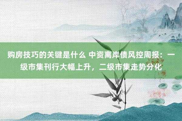 购房技巧的关键是什么 中资离岸债风控周报：一级市集刊行大幅上升，二级市集走势分化