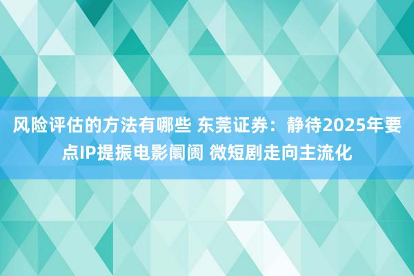 风险评估的方法有哪些 东莞证券：静待2025年要点IP提振电影阛阓 微短剧走向主流化