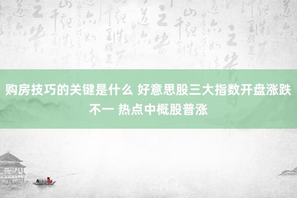 购房技巧的关键是什么 好意思股三大指数开盘涨跌不一 热点中概股普涨