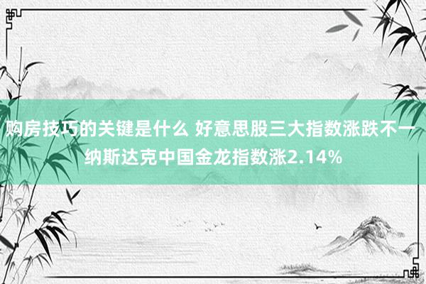 购房技巧的关键是什么 好意思股三大指数涨跌不一 纳斯达克中国金龙指数涨2.14%