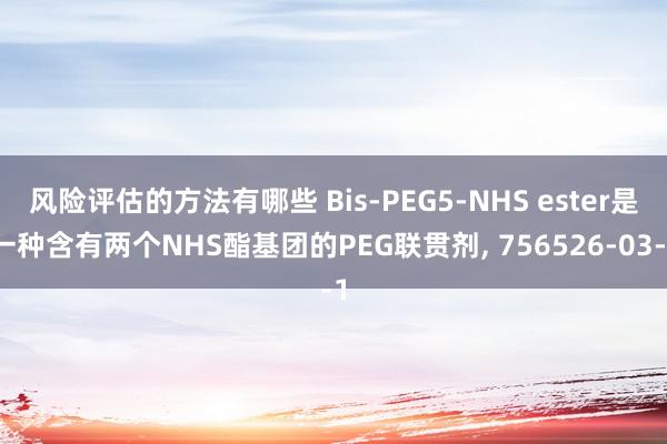 风险评估的方法有哪些 Bis-PEG5-NHS ester是一种含有两个NHS酯基团的PEG联贯剂, 756526-03-1