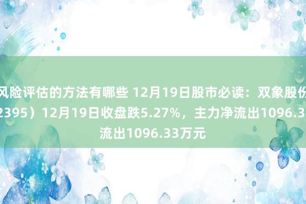 风险评估的方法有哪些 12月19日股市必读：双象股份（002395）12月19日收盘跌5.27%，主力净流出1096.33万元