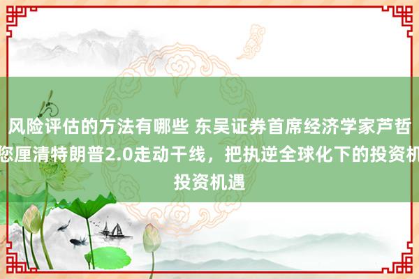 风险评估的方法有哪些 东吴证券首席经济学家芦哲带您厘清特朗普2.0走动干线，把执逆全球化下的投资机遇