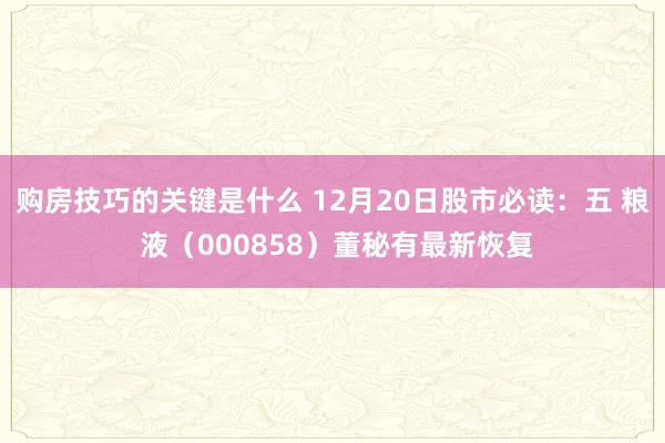 购房技巧的关键是什么 12月20日股市必读：五 粮 液（000858）董秘有最新恢复