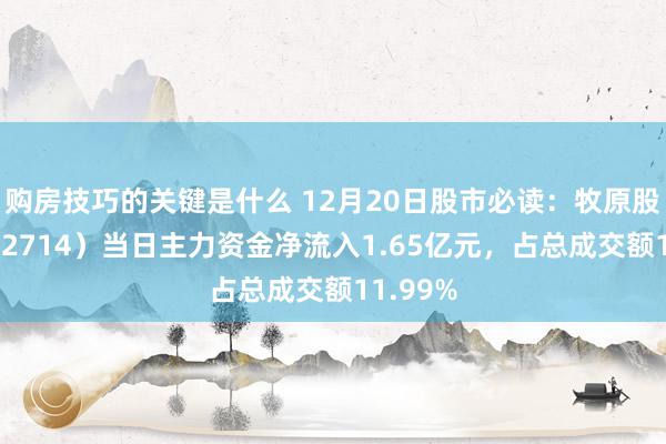 购房技巧的关键是什么 12月20日股市必读：牧原股份（002714）当日主力资金净流入1.65亿元，占总成交额11.99%