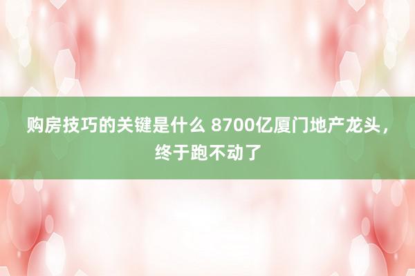 购房技巧的关键是什么 8700亿厦门地产龙头，终于跑不动了