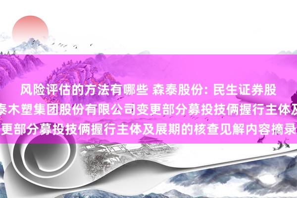 风险评估的方法有哪些 森泰股份: 民生证券股份有限公司对于安徽森泰木塑集团股份有限公司变更部分募投技俩握行主体及展期的核查见解内容摘录