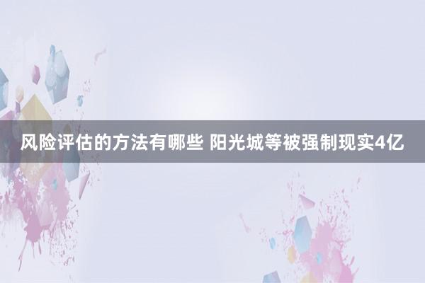 风险评估的方法有哪些 阳光城等被强制现实4亿