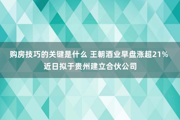 购房技巧的关键是什么 王朝酒业早盘涨超21% 近日拟于贵州建立合伙公司