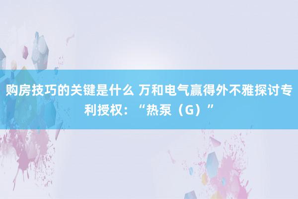 购房技巧的关键是什么 万和电气赢得外不雅探讨专利授权：“热泵（G）”