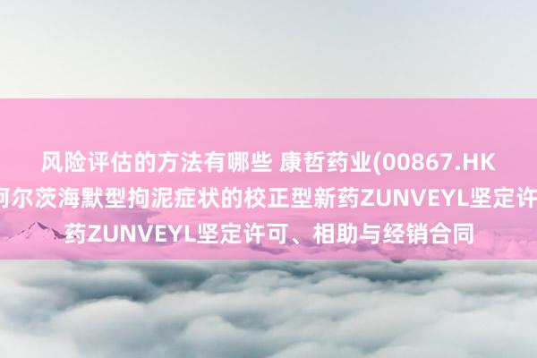 风险评估的方法有哪些 康哲药业(00867.HK)就调整轻度至中度阿尔茨海默型拘泥症状的校正型新药ZUNVEYL坚定许可、相助与经销合同