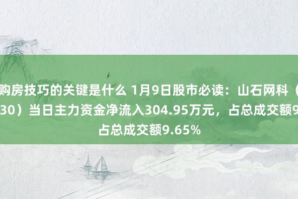 购房技巧的关键是什么 1月9日股市必读：山石网科（688030）当日主力资金净流入304.95万元，占总成交额9.65%