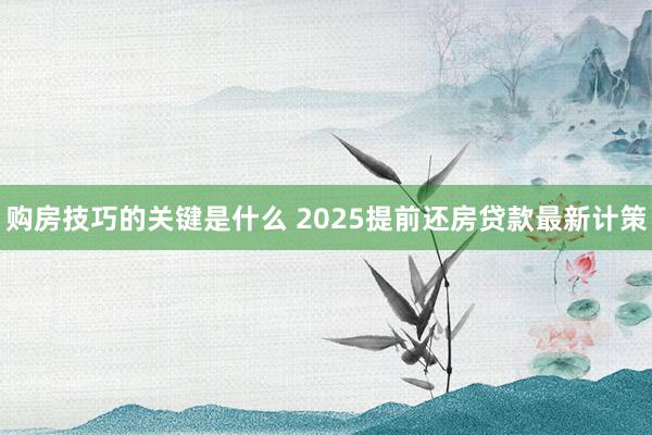 购房技巧的关键是什么 2025提前还房贷款最新计策