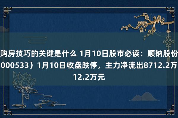 购房技巧的关键是什么 1月10日股市必读：顺钠股份（000533）1月10日收盘跌停，主力净流出8712.2万元