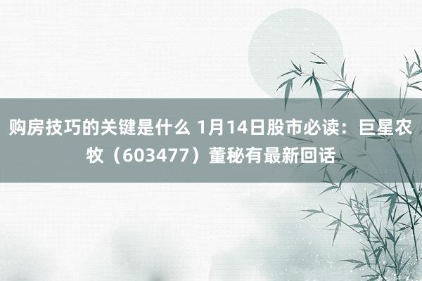 购房技巧的关键是什么 1月14日股市必读：巨星农牧（603477）董秘有最新回话