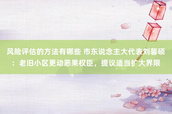 风险评估的方法有哪些 市东说念主大代表刘馨硕：老旧小区更动恶果权臣，提议适当扩大界限