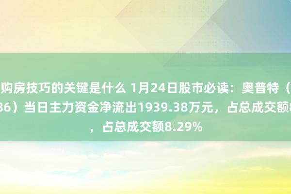 购房技巧的关键是什么 1月24日股市必读：奥普特（688686）当日主力资金净流出1939.38万元，占总成交额8.29%