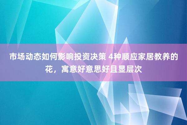 市场动态如何影响投资决策 4种顺应家居教养的花，寓意好意思好且显层次