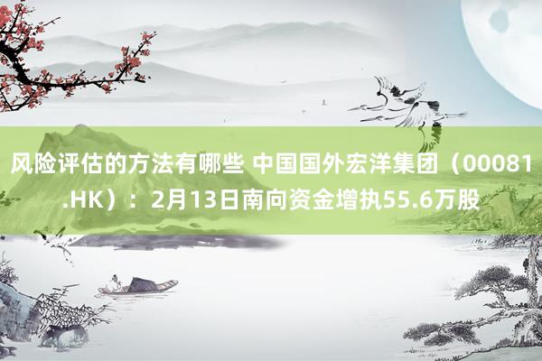 风险评估的方法有哪些 中国国外宏洋集团（00081.HK）：2月13日南向资金增执55.6万股