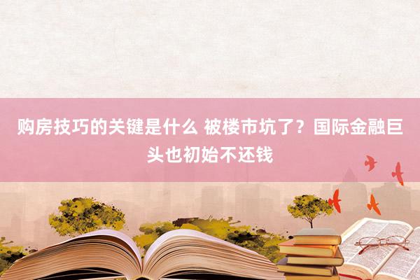 购房技巧的关键是什么 被楼市坑了？国际金融巨头也初始不还钱