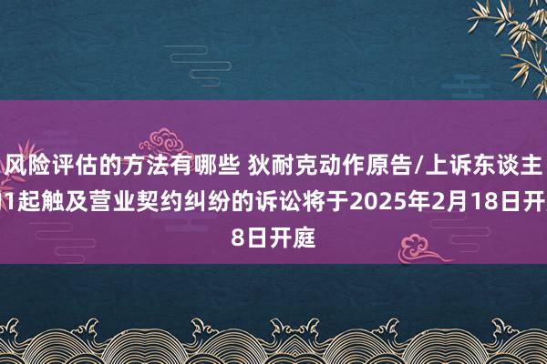 风险评估的方法有哪些 狄耐克动作原告/上诉东谈主的1起触及营业契约纠纷的诉讼将于2025年2月18日开庭