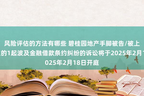 风险评估的方法有哪些 碧桂园地产手脚被告/被上诉东谈主的1起波及金融借款条约纠纷的诉讼将于2025年2月18日开庭