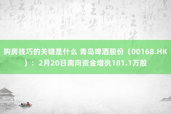 购房技巧的关键是什么 青岛啤酒股份（00168.HK）：2月20日南向资金增执181.1万股