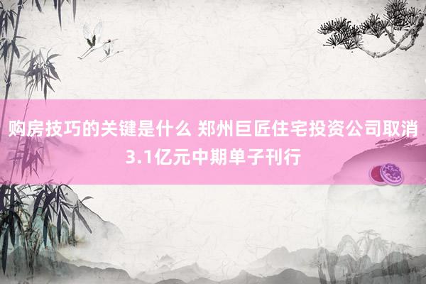 购房技巧的关键是什么 郑州巨匠住宅投资公司取消3.1亿元中期单子刊行