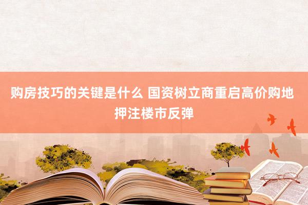 购房技巧的关键是什么 国资树立商重启高价购地 押注楼市反弹