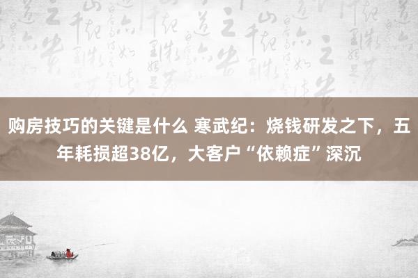 购房技巧的关键是什么 寒武纪：烧钱研发之下，五年耗损超38亿，大客户“依赖症”深沉