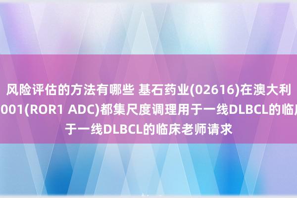 风险评估的方法有哪些 基石药业(02616)在澳大利亚递交CS5001(ROR1 ADC)都集尺度调理用于一线DLBCL的临床老师请求