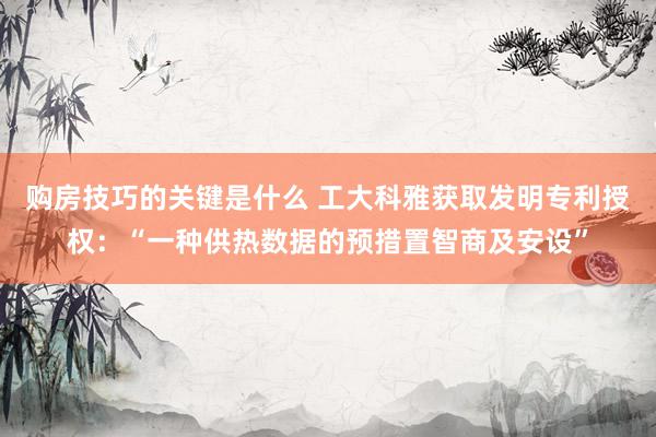 购房技巧的关键是什么 工大科雅获取发明专利授权：“一种供热数据的预措置智商及安设”