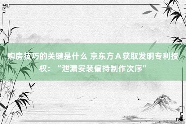 购房技巧的关键是什么 京东方Ａ获取发明专利授权：“泄漏安装偏持制作次序”