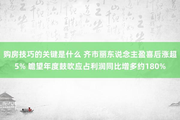 购房技巧的关键是什么 齐市丽东说念主盈喜后涨超5% 瞻望年度鼓吹应占利润同比增多约180%