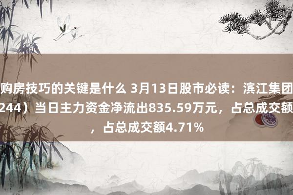 购房技巧的关键是什么 3月13日股市必读：滨江集团（002244）当日主力资金净流出835.59万元，占总成交额4.71%