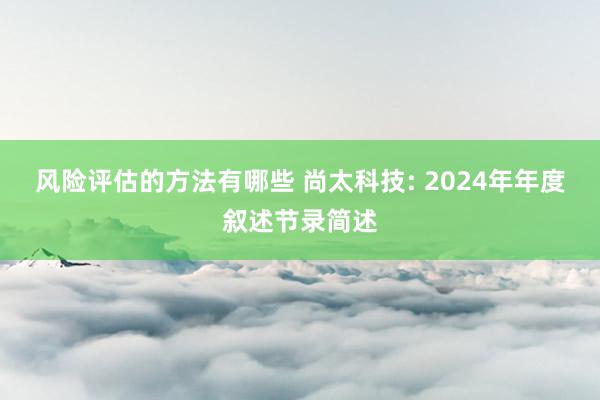 风险评估的方法有哪些 尚太科技: 2024年年度叙述节录简述