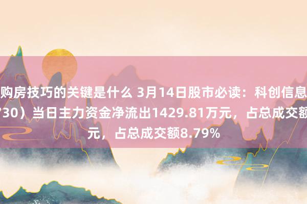 购房技巧的关键是什么 3月14日股市必读：科创信息（300730）当日主力资金净流出1429.81万元，占总成交额8.79%