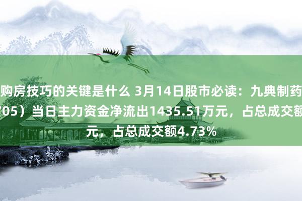 购房技巧的关键是什么 3月14日股市必读：九典制药（300705）当日主力资金净流出1435.51万元，占总成交额4.73%